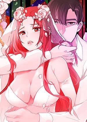 钢之炼金术师 封面